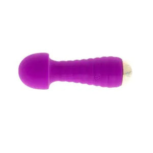 Healthy life Rechargeable Intimate Massager purple
