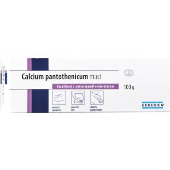 Generica Calcium pantothenicum ointment 100 g - mydrxm.com