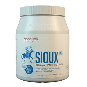 Barny's MSM Sioux 600 g for joints and musculoskeletal system