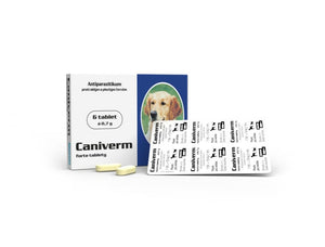 Caniverm forte 6 tablets x 0.7g