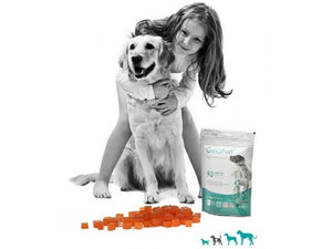 Geloren Dog for healthy joints, ligaments and tendons 90 jelly cubes