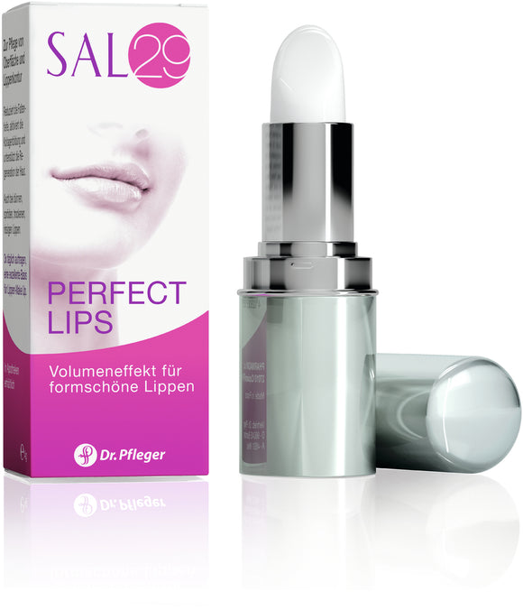 Dr. Pfleger SAL 29 Perfect Lips 4 gr lipstick