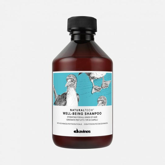 Davines NATURALTECH Well-Being Shampoo 250ml