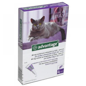 Advantage for spot-on cats 4x0.8 ml - mydrxm.com