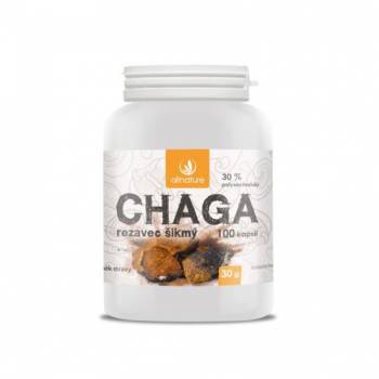 Allnature Chaga Rustic Oblique 100 capsules - mydrxm.com