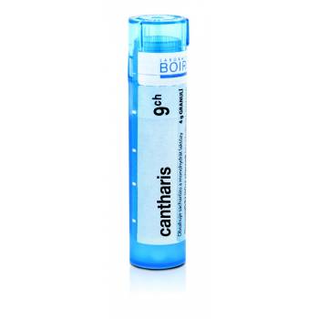 Boiron CANTHARIS CH9 granules 4 g - mydrxm.com
