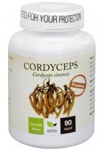 Organic Allnature Cordyceps Premium 90 capsules vitamins Natural Energy food supplement - mydrxm.com