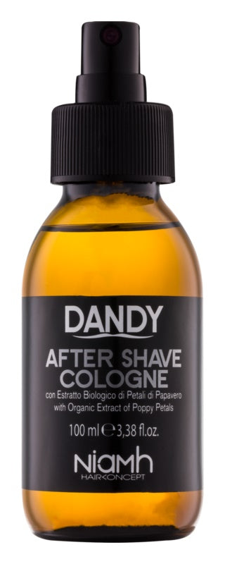 DANDY After Shave 100 ml