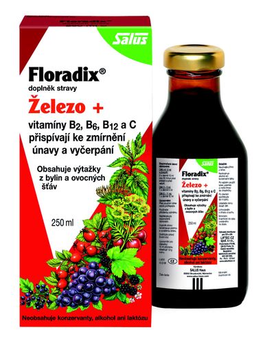 Salus Floradix Iron + syrup 250 ml