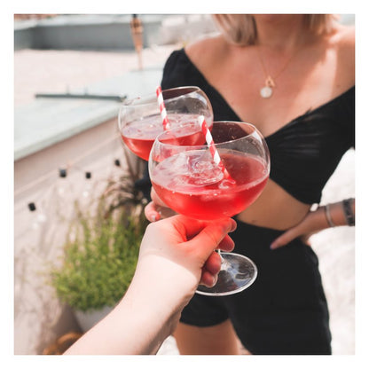 Fluidum Summer Karkade BIO liquid extract 10 sachets x 10 ml