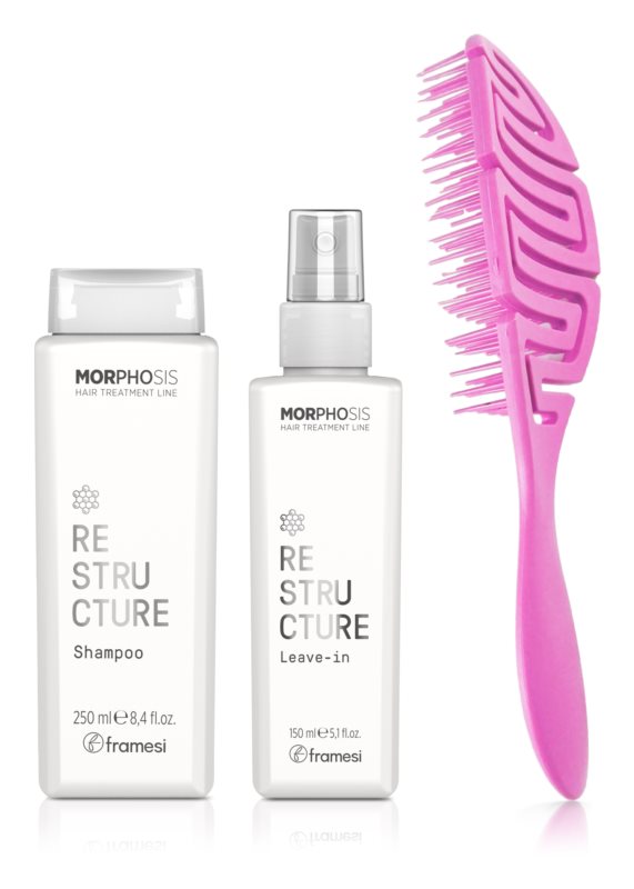 Framesi Morphosis Restructure gift set (for dry hair)