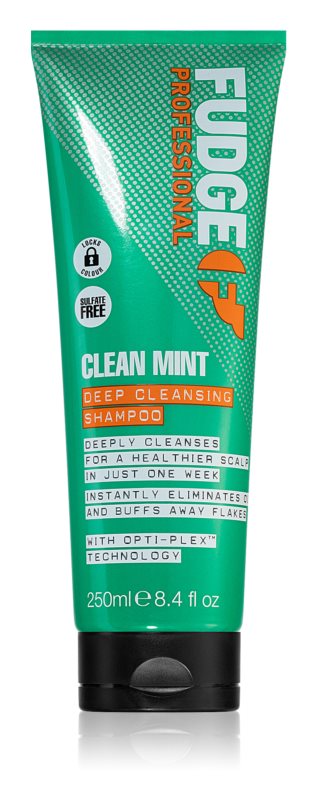 250 My Mint Shampoo Fudge Dr. XM ml – Clean