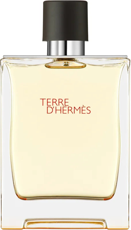 HERMÈS Terre d'Hermès Eau de toilette for men