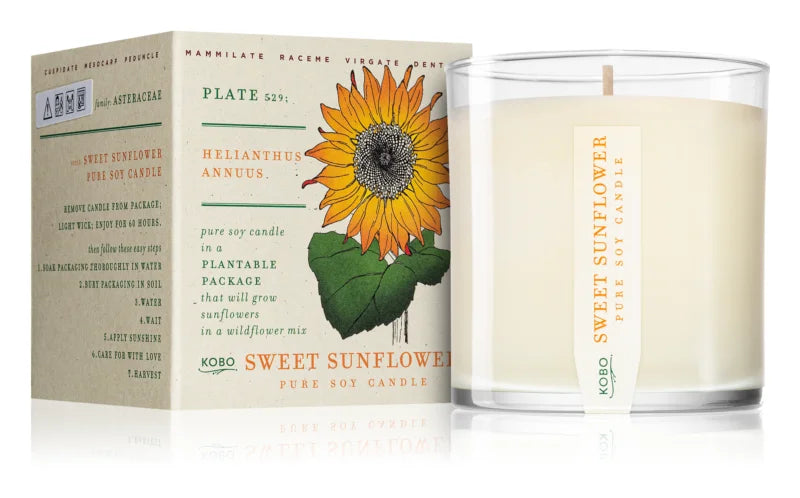 KOBO Plant The Box Sweet Sunflower scented candle 283 g