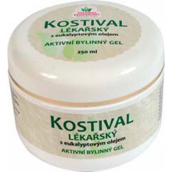 Herbal Harmony Comfrey medical herbal gel 250 ml - mydrxm.com