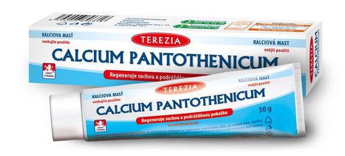 Terezia Calcium pantothenicum ointment 30 g