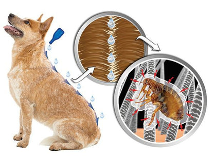 Line-on Beaphar IMMO Shield for dogs L 3x4,5 ml
