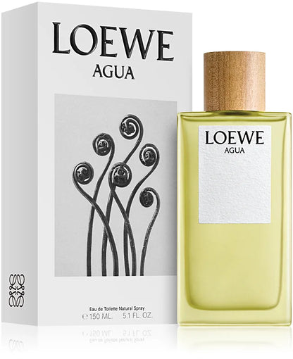 Loewe Agua Unisex eau de toilette