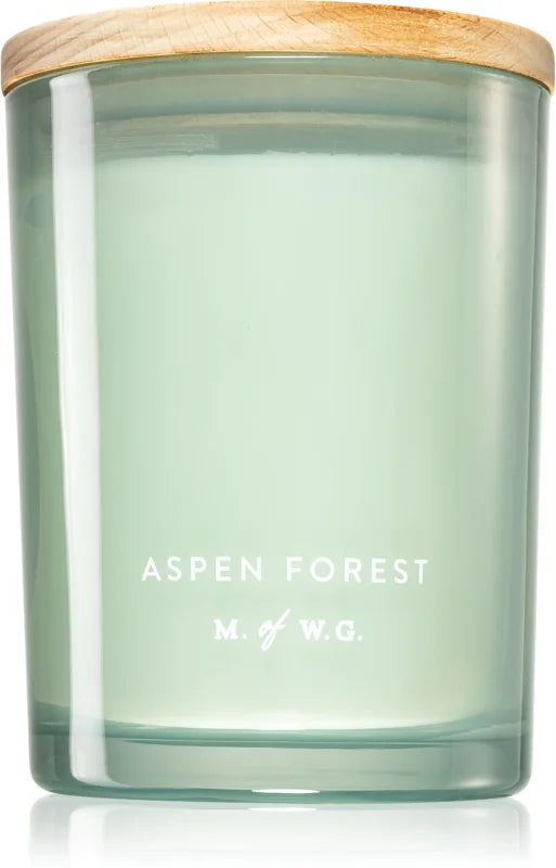 Makers of Wax Goods Aspen Forest scented candle 420 g