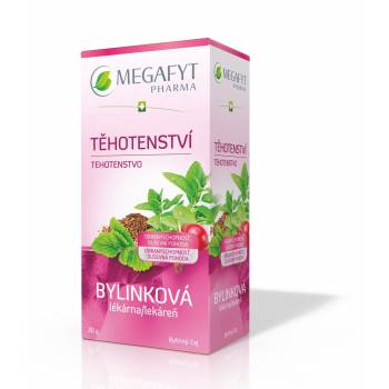 Megafyt Herbal Pharmacy Pregnancy 20x1,5 g