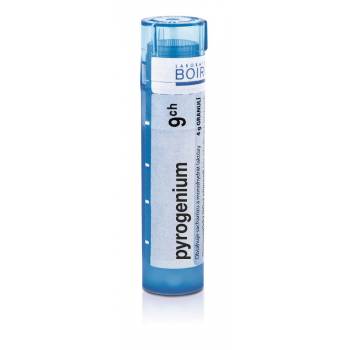 Boiron PYROGENIUM CH9 granules 4 g - mydrxm.com