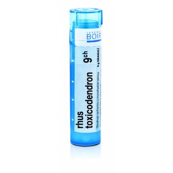 Boiron RHUS TOXICODENDRON CH9 granules 4 g - mydrxm.com