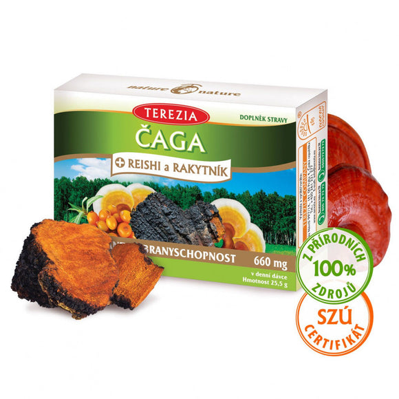Organic Chaga + Reishi Mushrooms + Sea Buckthorn Antioxidant 60 pcs vitamins BIO - mydrxm.com