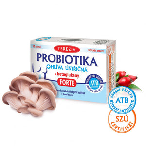 3-pack PROBIOTICS + OYSTER MUSHROOM 100% Organic Natural BIO vitamin - mydrxm.com