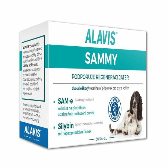Alavis Sammy Liver Regeneration 30 capsule For cats dogs medicine vitamins - mydrxm.com