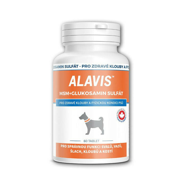 Alavis MSM Glucosamine for Dogs Joints Bone 60 capsule Vitamins - mydrxm.com