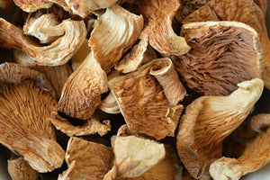 Dry Oyster mushroom 50g